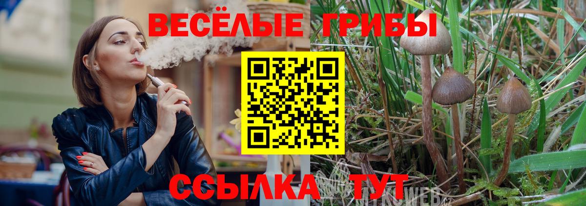 Майкоп  Галлюциногенные грибы MAGIC MUSHROOMS  Вход с VPN 